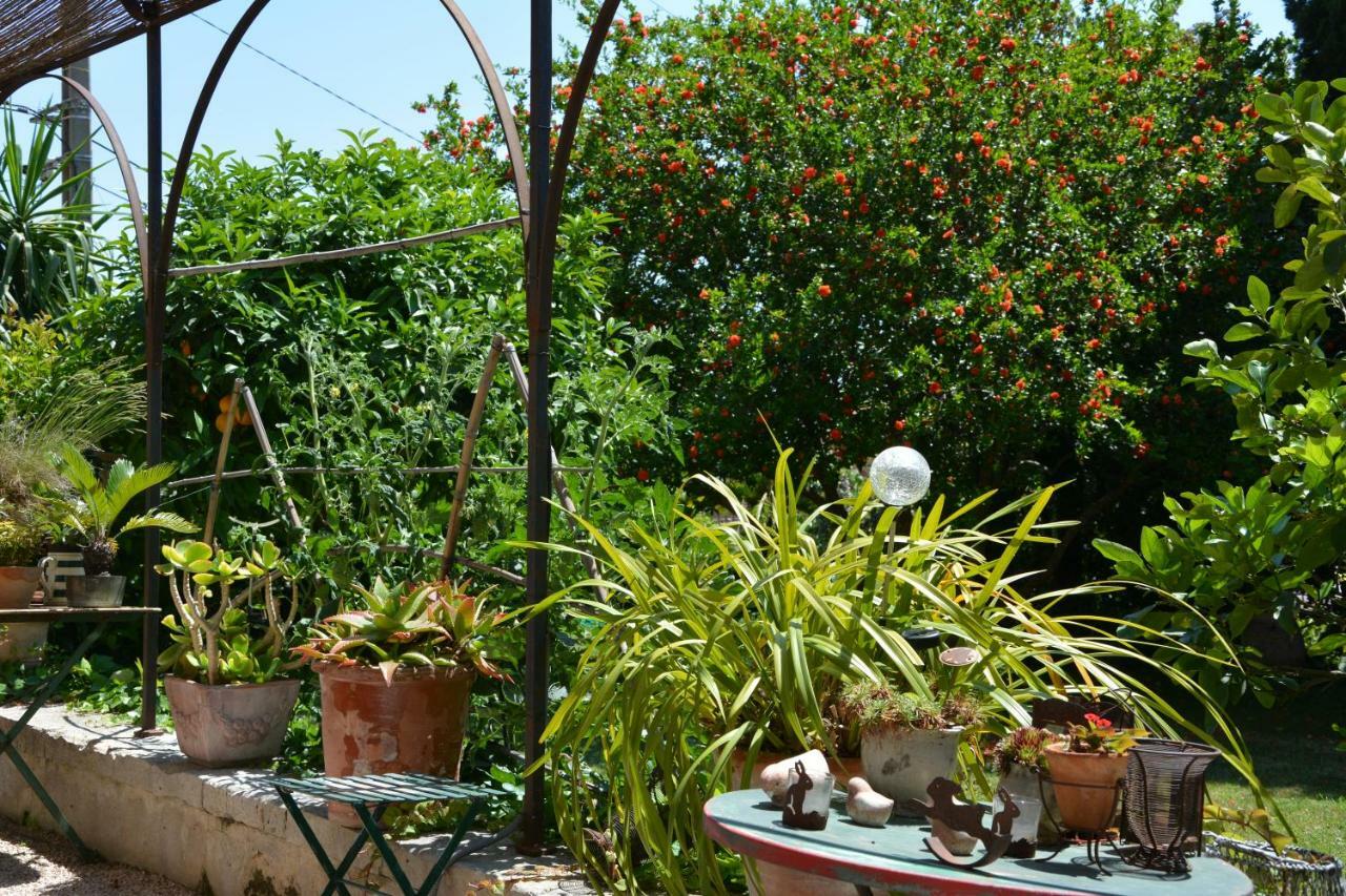 Les Passiflores Grasse Zewnętrze zdjęcie